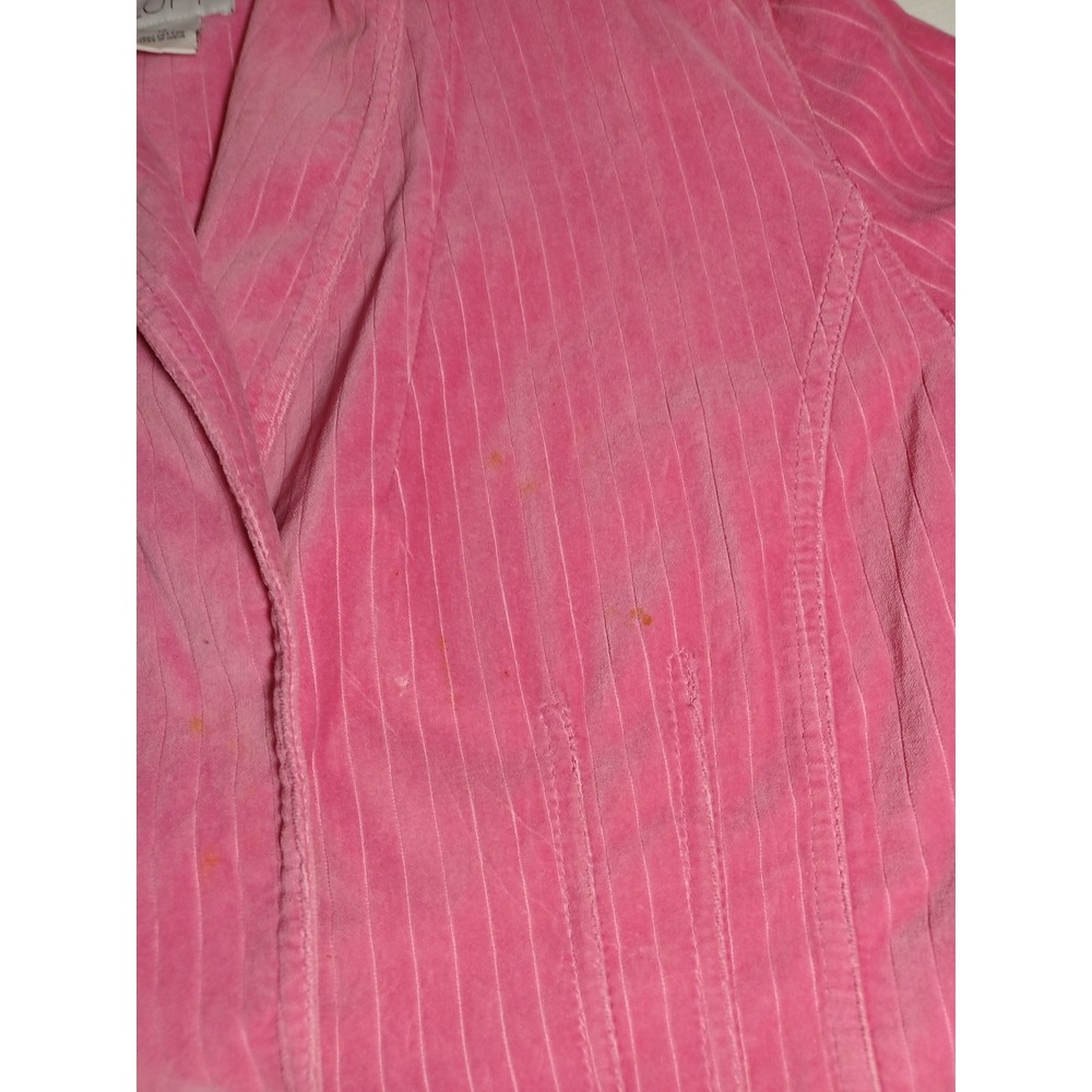 Ann Taylor Loft Blazer Womens 12 Pinstripe Corduroy Jacket Single Button Stained - Picture 3 of 6